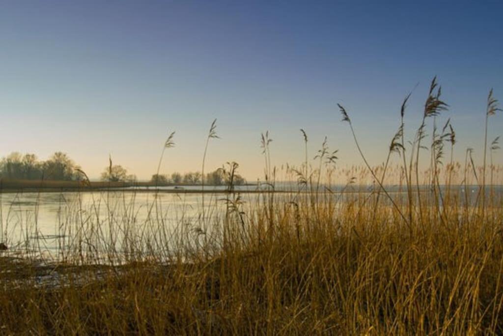 Bodensee Apartments, Sauna, Lake Walks, Free Parking, Self Checkin, Nature Reserve, Restaurants Nearby Gaissau  Exterior foto