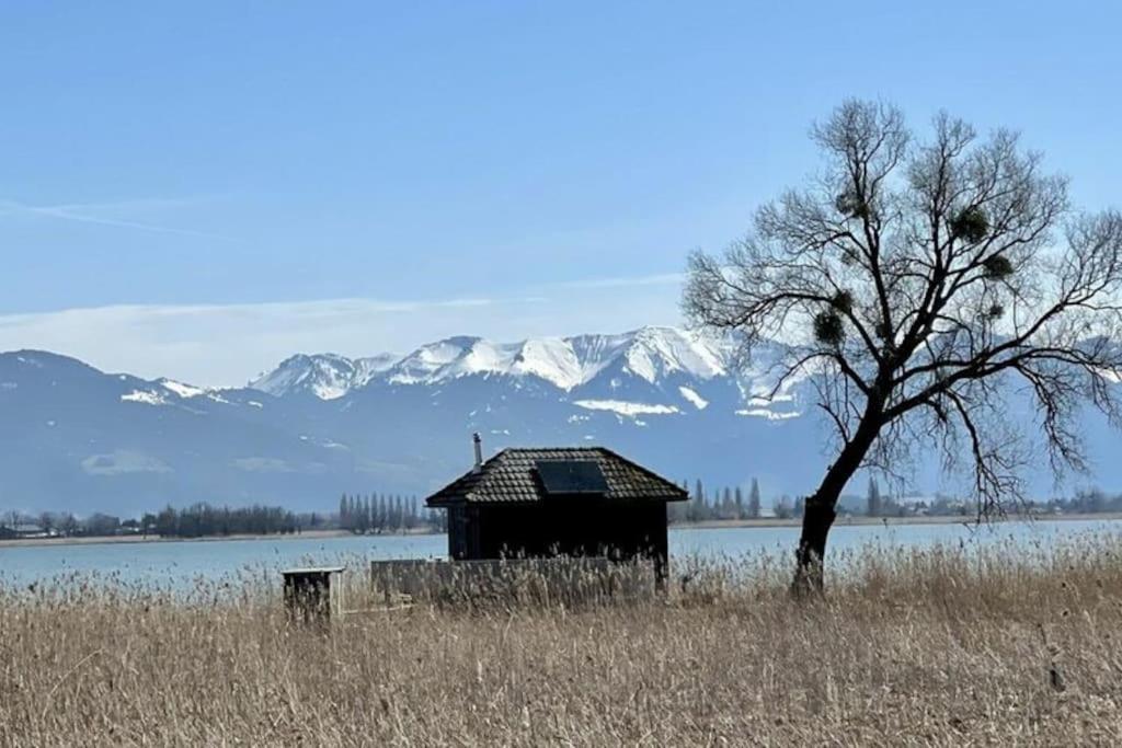 Bodensee Apartments, Sauna, Lake Walks, Free Parking, Self Checkin, Nature Reserve, Restaurants Nearby Gaissau  Exterior foto