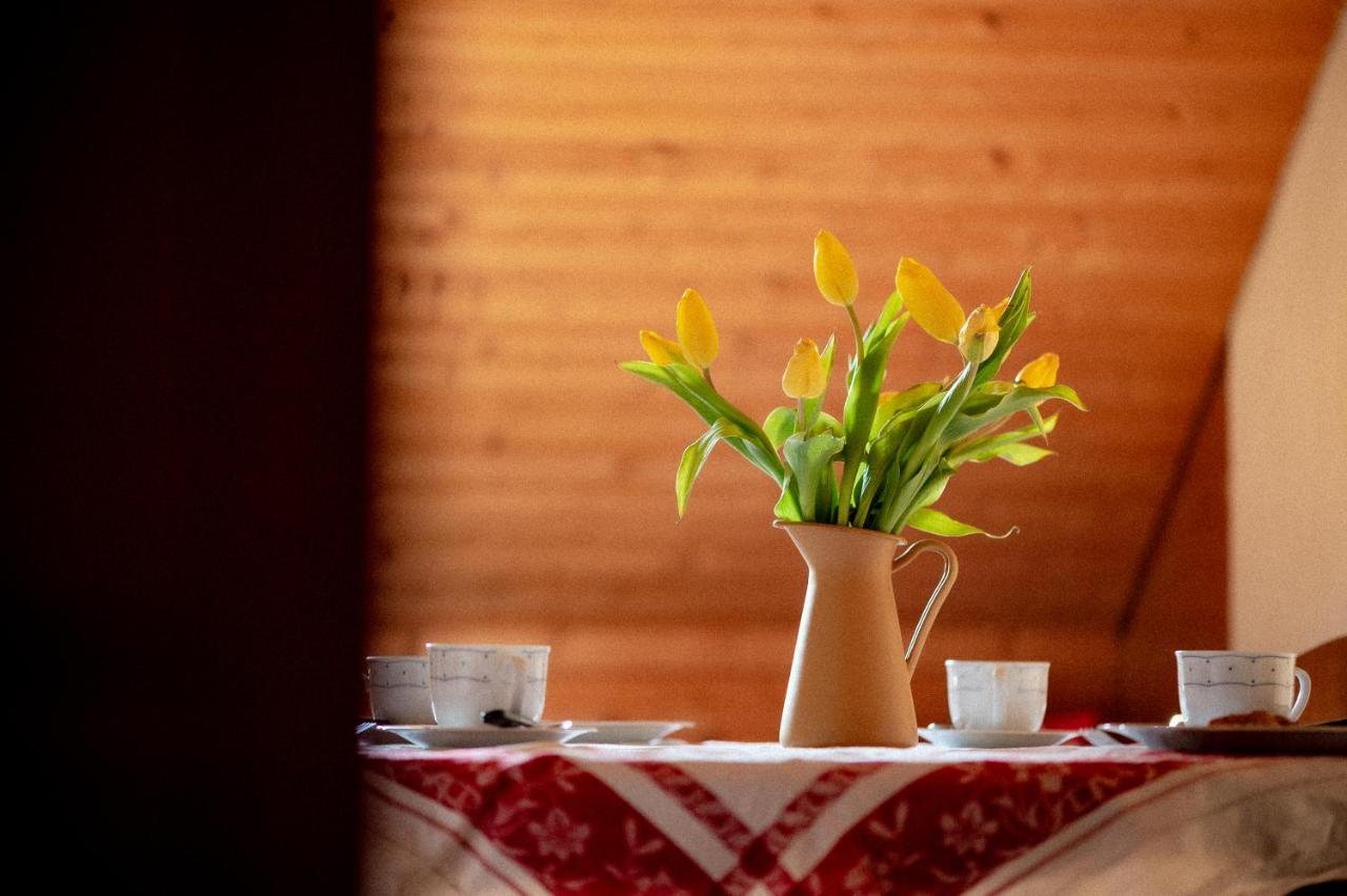 Bodensee Apartments, Sauna, Lake Walks, Free Parking, Self Checkin, Nature Reserve, Restaurants Nearby Gaissau  Exterior foto