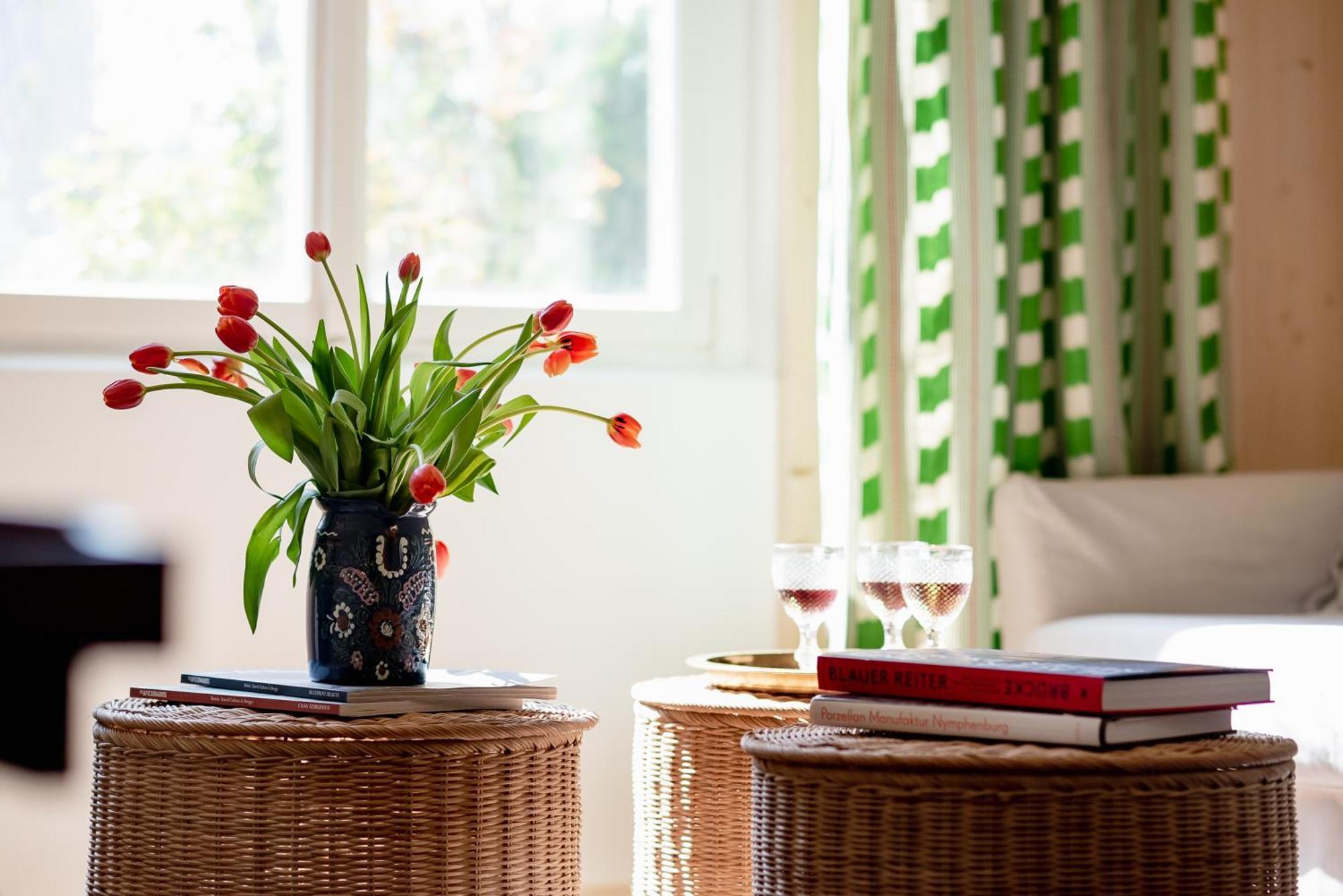 Bodensee Apartments, Sauna, Lake Walks, Free Parking, Self Checkin, Nature Reserve, Restaurants Nearby Gaissau  Exterior foto